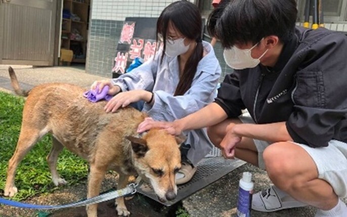 3-5 校園友善動物與生命教育-守護犬志工隊