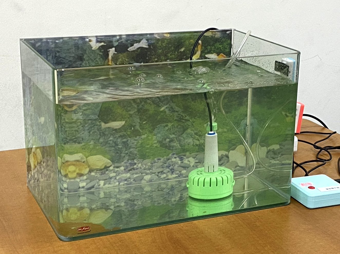 活動照片