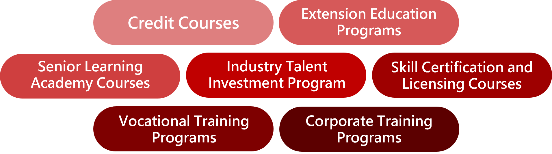 ▲Local Specialty Food Practice – Hands-on Training