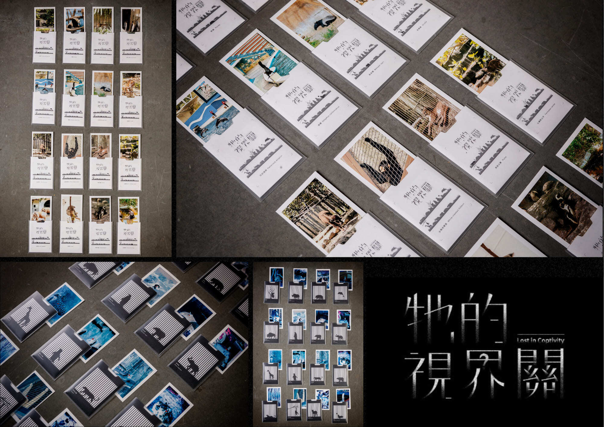 活動照片