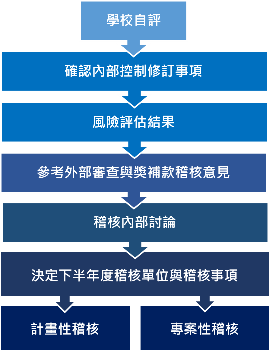年度稽核流程